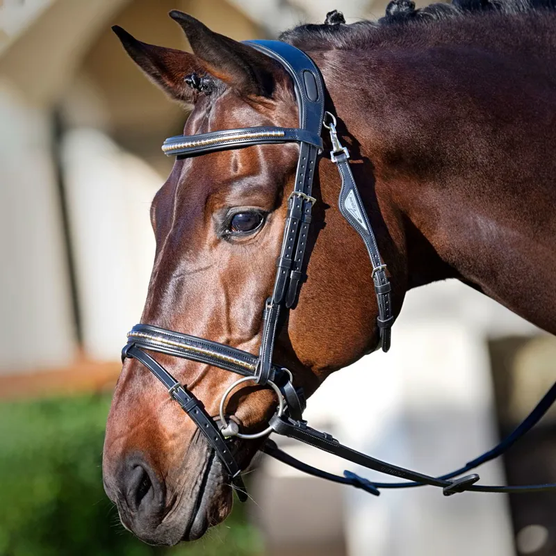 Equiline Build a Bridle - Customization