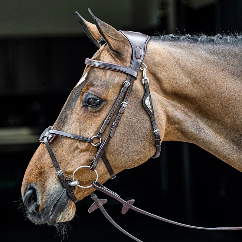 Equiline Build a Bridle - Customization-2