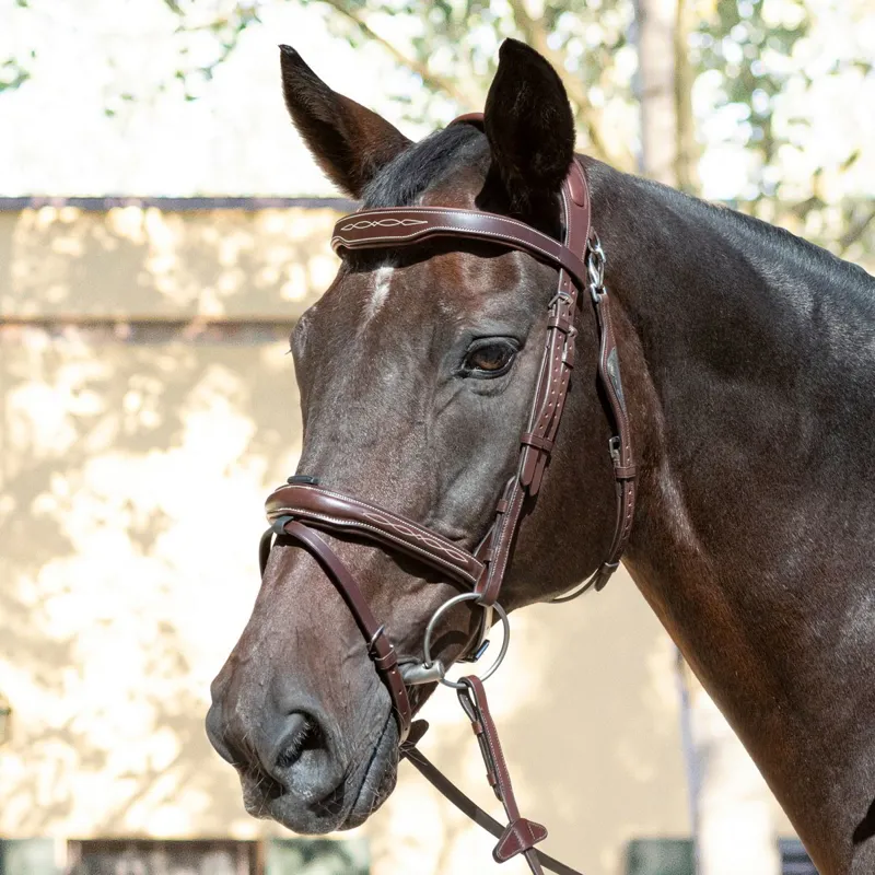 Equiline Build a Bridle - Customization-3