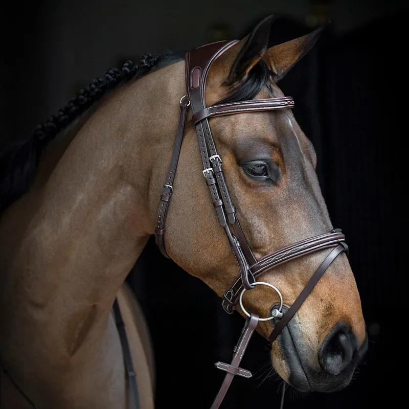 Equiline Build a Bridle - Customization-4