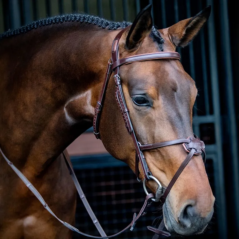 Equiline Build a Bridle - Customization-5