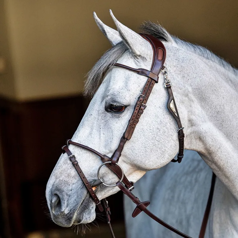 Equiline Build a Bridle - Customization-6
